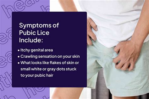 Pubic Lice Women