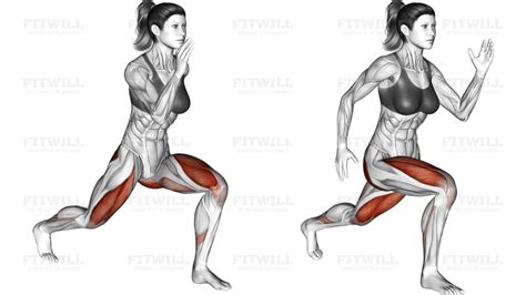 Image result for Lateral Hops Exercise Fitt