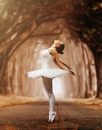 Ballet Dancer. 