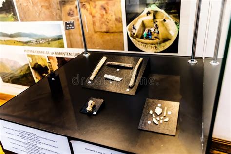 Human Evolution Technology 的图像结果