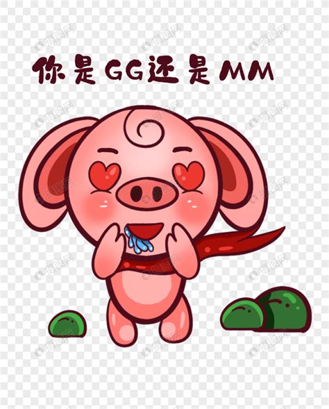 2019猪年宝宝起名字大全-起名网