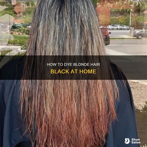 How To Dye Blonde Hair Black At Home | ShunSalon