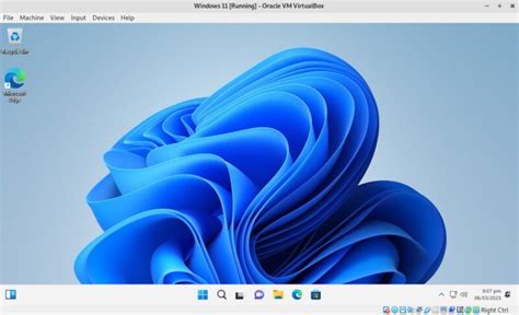 VirtualBox for Linux in Windows System 的图像结果