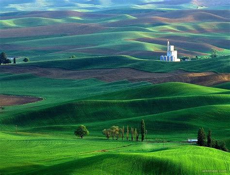 Photography in Nature 的图像结果