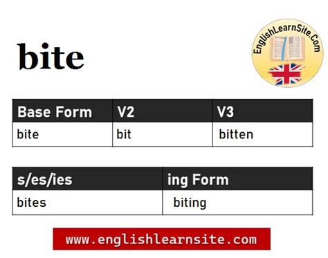 Bite V1 V2 V3, Bite Past and Past Participle Form Tense Verb 1 2 3 ...