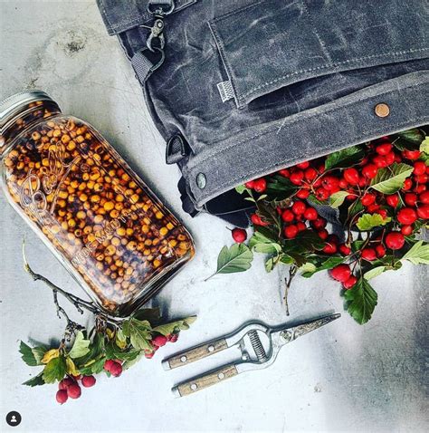 Introduction to Medicine Making - Tinctures and Infusions, 1450 ...