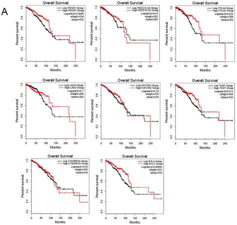 PRLR and CACNA2D1 Impact the Prognosis of Breast Cancer by Regulating ...
