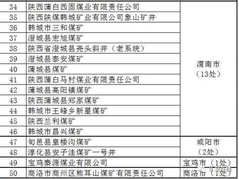 山西省政府责令天脊集团停产整顿(组图)-搜狐财经