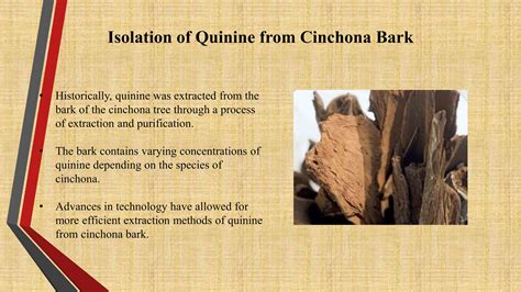 Where Is Quinine Found