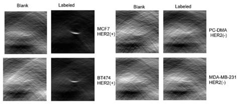 Small Molecule Optoacoustic Contrast Agents: An Unexplored Avenue for ...