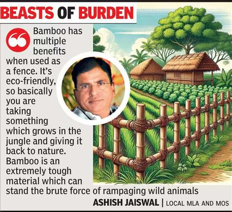 Bamboo fencing for Ramtek farms may get govt push with Jaiswal in power
