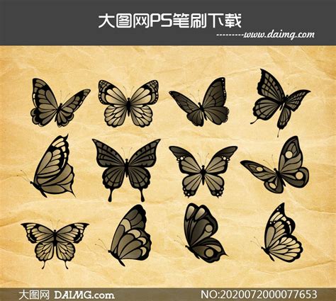 12款飞舞的蝴蝶PS笔刷_大图网图片素材