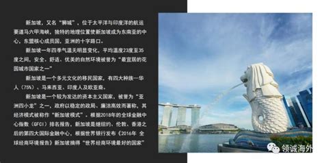 必看新加坡恢复中国国籍并不难网友分享超详细实用攻略 | 狮城新闻 | 新加坡新闻