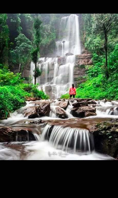 Moon Mist Homestay Chikmagalur - Resorts Chikmagalur