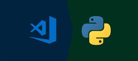Python Interpreter vs Code 的图像结果