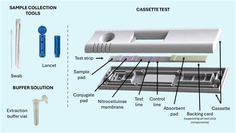 Lateral Flow Test Tutorial 的图像结果