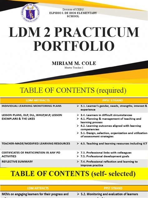 Sample Annotation in LDM Practicum Portfolio 的图像结果