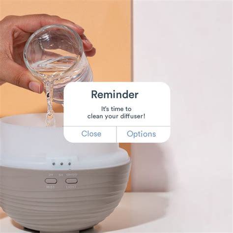 How Do You Clean a Diffuser 的图像结果