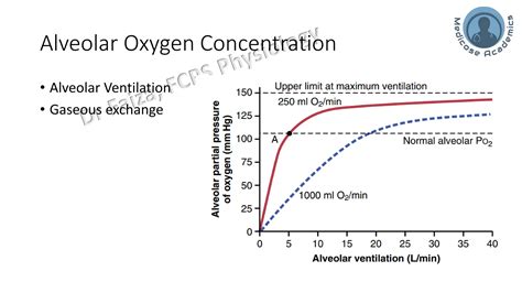 Ventilation Perfusion Ratio, Physiological dead space and physiological ...
