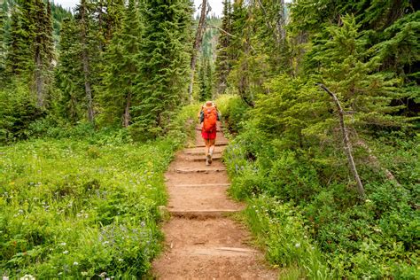20 BEST Mt Rainier National Park Hikes Ranked (Photos + Tips)