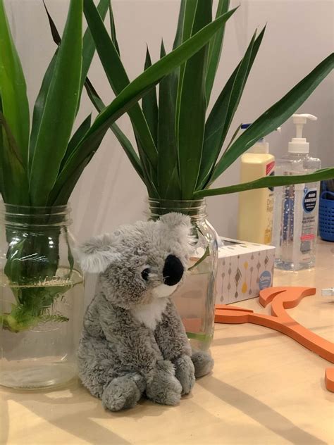 AlayaCare Office Photos | Glassdoor