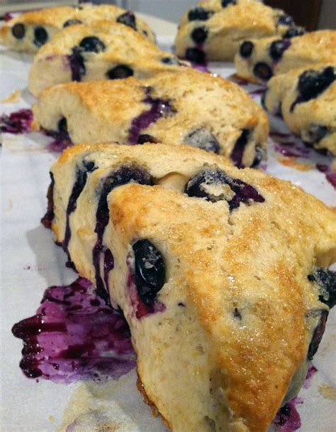 Low Calorie Blueberry Scones | Blueberry scones recipe, Blueberry ...