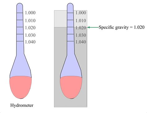 Urine specific gravity - examination, norm, result interpretation ...