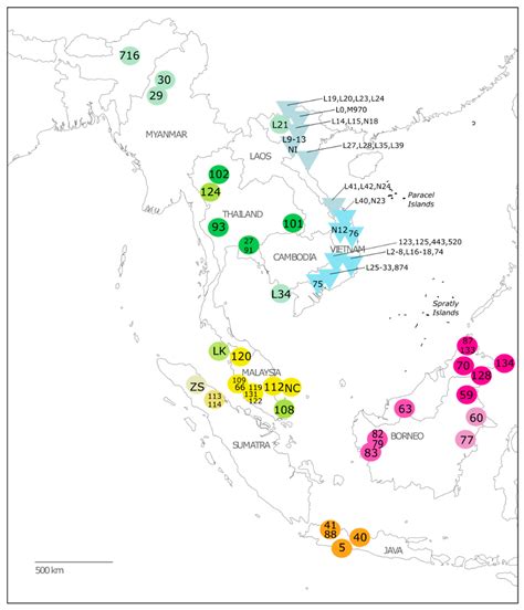 Correction: Blair et al. Molecular Phylogenetic Relationships and ...