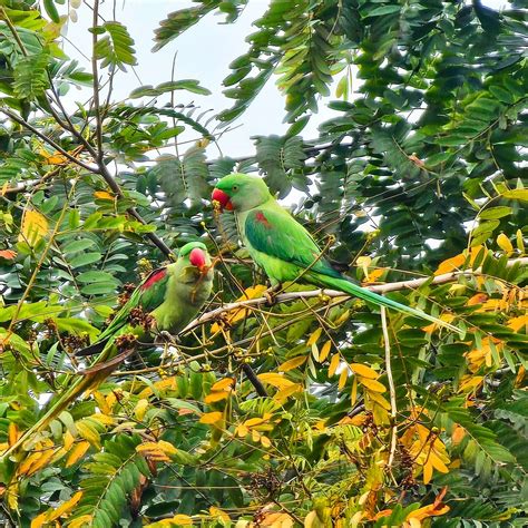 Gallery | Aastha Dheer