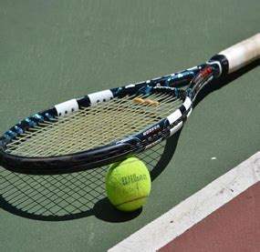 Titus Sports Jaipur — Squash, Badminton, Cricket, Tennis & Sports ...