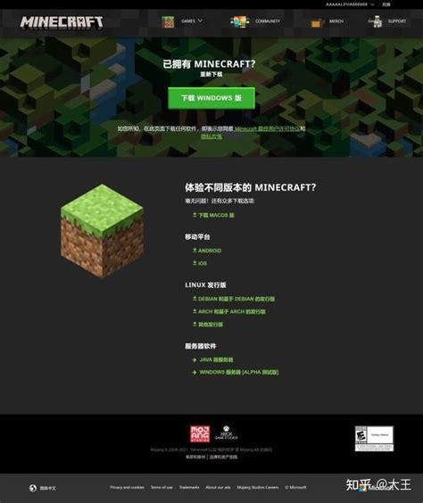 Minecraft #N# ZH 的图像结果