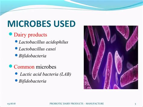 Probiotic dairy products manufacture | PPS