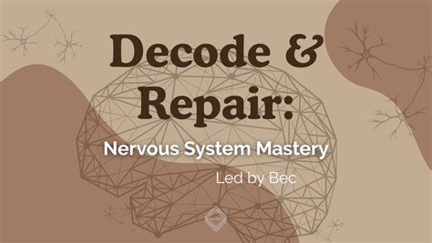 Decode & Repair: Nervous System Mastery, Zero Point Yoga (41 Smithton ...