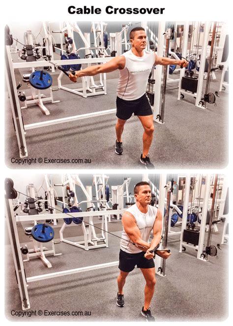 Cable Crossover Exercises 的图像结果