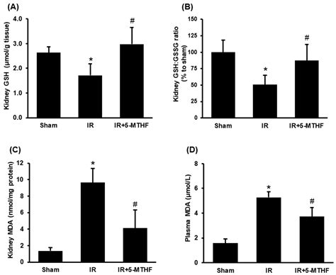 5-Methyltetrahydrofolate Attenuates Oxidative Stress and Improves ...