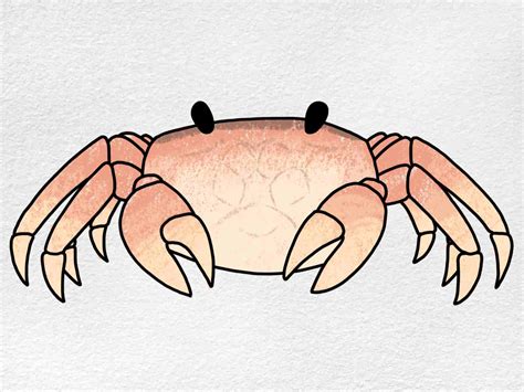 Easy Drawing Of Crab Step By Step at Autumn Allen blog