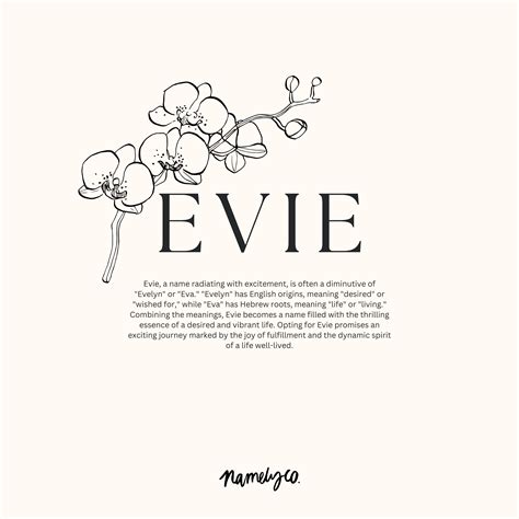 Evie Name Meaning | Names with meaning, Meaningful baby names, Baby ...
