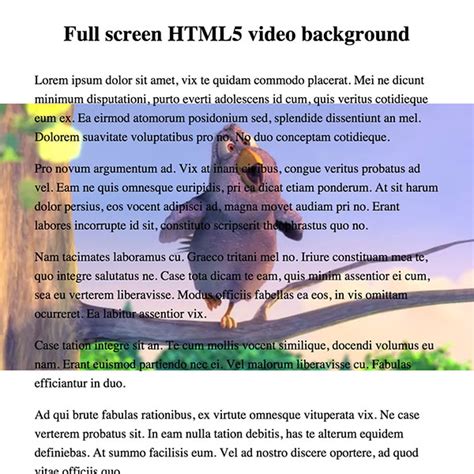Image result for CSS Code Video