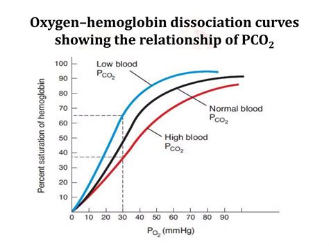 Image result for PCO2 Gradient