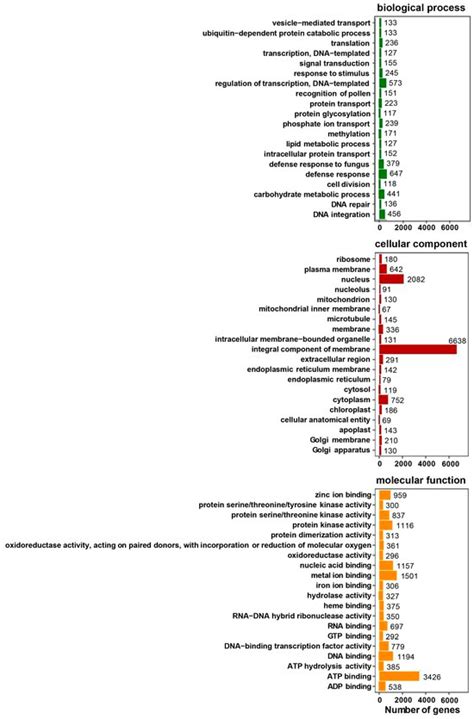 Transcriptome Analysis Identifies Key Genes Involved in Response and ...