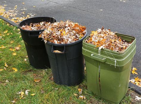 Image result for Yard Waste Disposal
