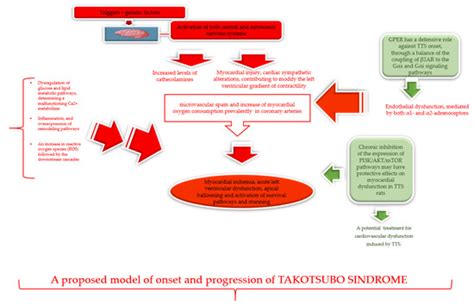 Genetic and Epigenetic Factors of Takotsubo Syndrome: A Systematic Review