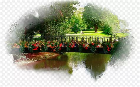 1080P壁纸桌面 的图像结果