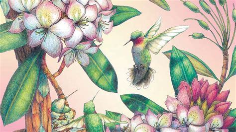 tutorial strawberry fruit drawing images