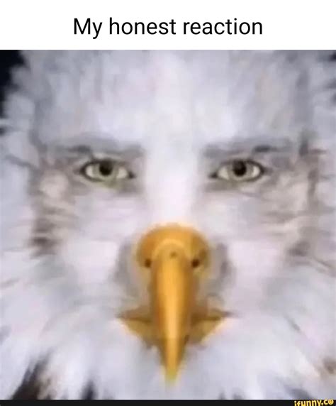 My honest reaction - iFunny Brazil