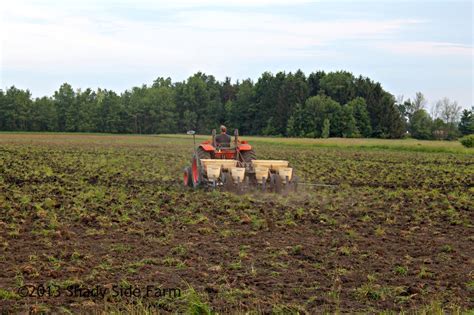 Image result for Corn Planting