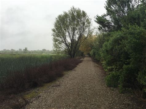 Vernalis Tourism (2024): All You Need to Know Before You Go