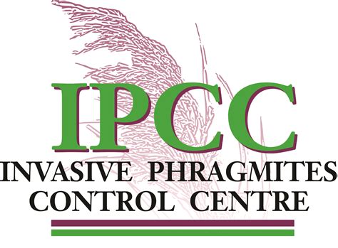 Dr. Janice Gilbert and the Invasive Phragmites Control Centre – Lambton Shores Phragmites ...