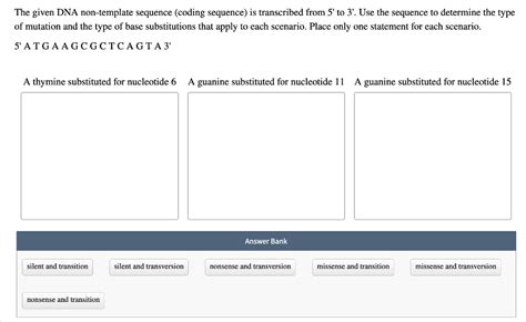 How to List the Complementary Non-Coding DNA Sequence 的图像结果