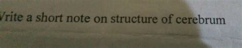 Write a short note on heterocyclic base present in nucleic acids ...